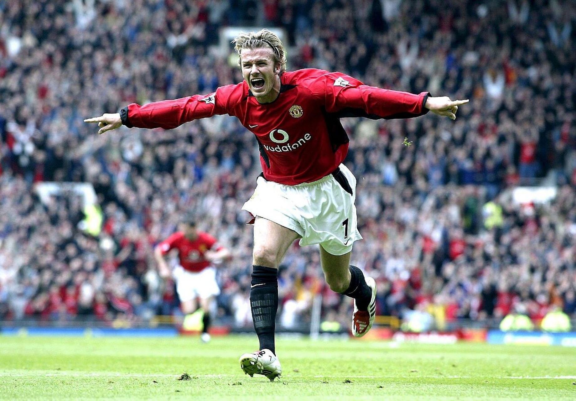 展示的不仅 展示的不仅